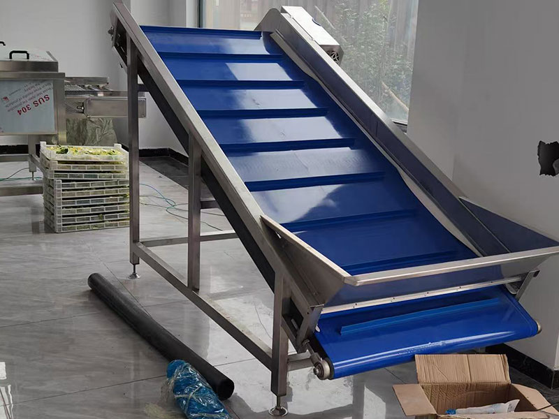 浙江黃花菜加工現(xiàn)場